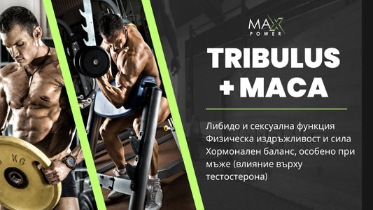 Трибулус + Мака - Уникална комбинация